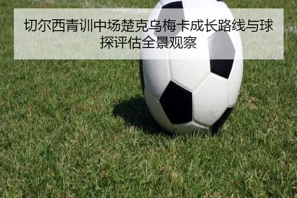切尔西青训中场楚克乌梅卡成长路线与球探评估全景观察